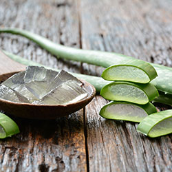 ALOE VERA