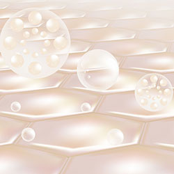 COCOONING COLLAGEN