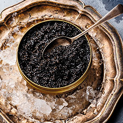 CAVIAR GOLD